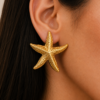 Aretes Curitiba