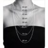Collar Lyon Plateado 55cm