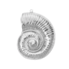 49mm - Dije de Concha Espiral Grande Plateado