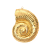 49mm - Dije de Concha Espiral Grande Dorado
