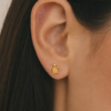 Aretes Monterrico Small