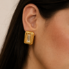 Aretes Turín