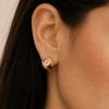 Aretes Portofino