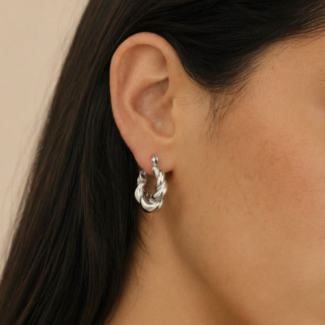 Aretes Bologna Plateados