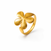 Anillo Kavala Dorado (Ajustable)