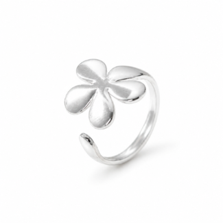 Anillo Kavala Plateado (Ajustable)